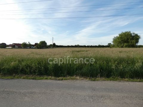 Dpt Saône et Loire (71), à vendre SAINT MARTIN EN BRESSE terrain - Terrain de environ 1 600,00 m²