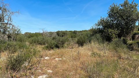 Land for sale between Ca's Concos and Santany in an area known as Hamburg hill with project and license in process for single-family home on a plot of 14,700 square meters with excellent views and with all services at hand. For more information do no...