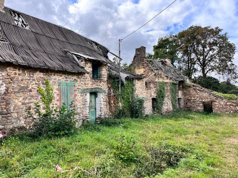 Dreaming of creating your own haven of peace in a bucolic setting ? This property located in a charming hamlet in the countryside of Guipry-Messac offers unique potential to carry out your renovation project. Nestled in a small peaceful hamlet, this ...