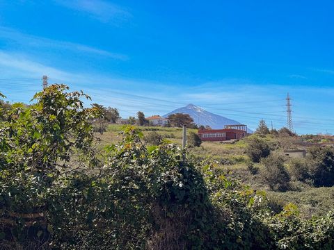 Rustic land of 5373m2 for sale near the headquarters of the Red Cross of Tacoronte. Well connected by road and highway and with easy access to the urban center. Farm with vineyards, chestnut trees and medlars. With fertile soil suitable for cultivati...