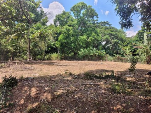 Ready to build on residential lot in quiet neighbourhood. You can't afford this miss out on this opportunity to own over a quarter of an acre land in Orangefield, a much desired locality. Call me to make an offer now.