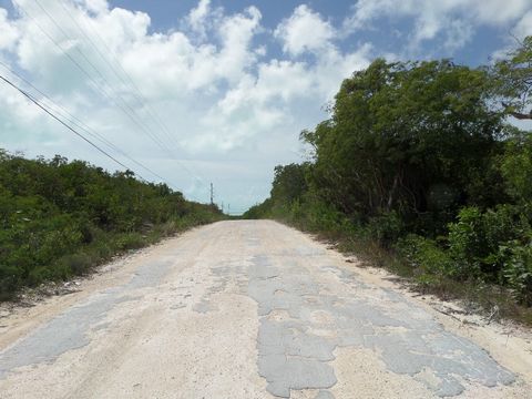 This lot offers some distant views of the Caribbean side of the island. It has good elevation, 28 feet above sea level. The adjacent lot is also available, Lot# 563. A quarry road provides easy access to the lots with electric poles in place. Close t...
