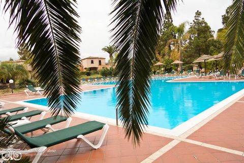 The Residence Baia delle Palme is located in a large park surrounded by palm trees, behind which is the free beach of Cala Brianza, just 250 meters from the residence. Foxi 'e Sali Beach is just 800 meters away. The residence is in a quiet and reserv...