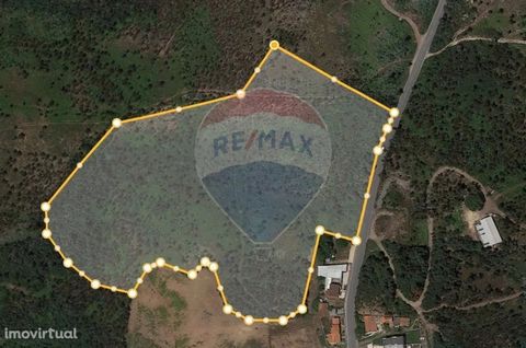 If you are looking for a good investment, this land is a great solution. This land is located 2m from the historic village of Quintandona and 5m from Recarei-Sobreira station and Sobreira School EB2/3. This land has feasibility of building a villa up...