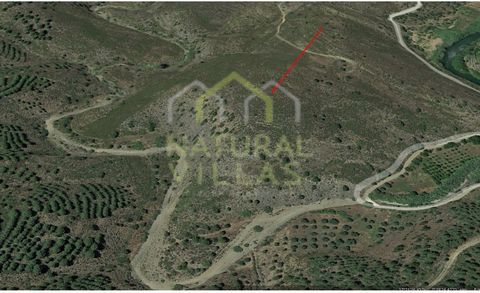 Rustic land in the vicinity of Ribeira Foupana in Barranco do Pombal, Odeleite municipality of Castro Marim. The property has a total land area of 31,800m2, consisting of bush and watercourse. It has a steep slope and an extraordinary panoramic view ...