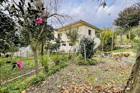 Identificação do imóvel: ZMPT562128 Farm with two-family house (the interior needs to be finished and closed). T3 on the ground floor. In Semicave T1, garage and cellar. Property for sale with 7100 m2 of land. The ground floor is a 3-bedroom house, w...