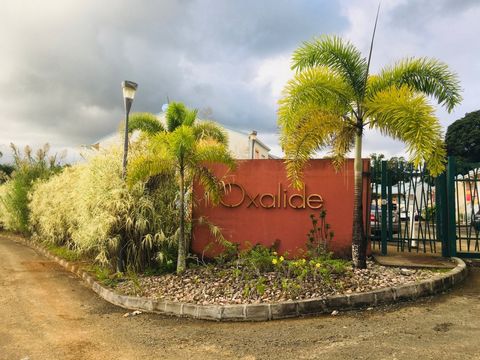 Résidence OXALIDE à Montalègre au Lamentin, calme et sécurisée avec piscine. Situé au rez-de-chaussée, appartement composé d'un séjour, d'une cuisine aménagée, de 2 chambres avec placards et d'1 salle d'eau, 1 WC séparé. Vous pourrez également profit...