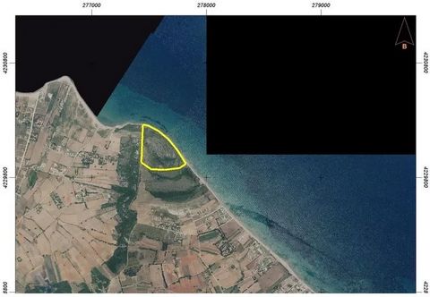 Trama con privacy di fronte a una meravigliosa spiaggia del Peloponneso. È adatto per resort, strutture alberghiere. Costruito da 8000 mq. fino a 20.000mq