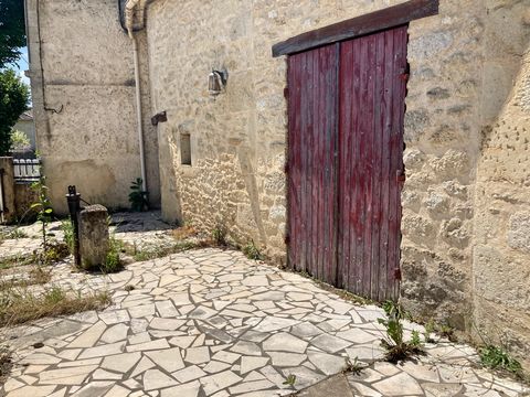 photo no. 19