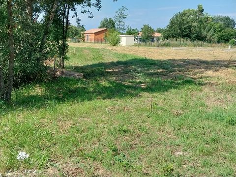 Land in Nègrepelisse, ideal for any real estate project. The building part gives the right to 724m2 to build your custom villa. The land is quiet and close to the center and therefore to all amenities (daycare, primary schools, college, doctors, phar...