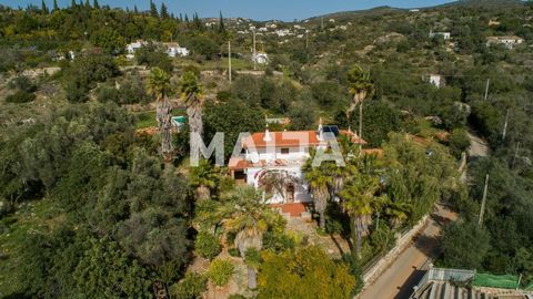 Spanning 2 floors, this elegantly furnished villa is set in a very large private garden with swimming pool (needs a little work), patio with brick barbecue & fruit & palm trees. The ground floor has a beautiful entrance hall with a curved wooden stai...