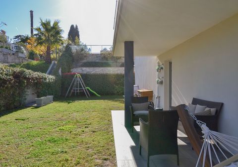 photo no. 12