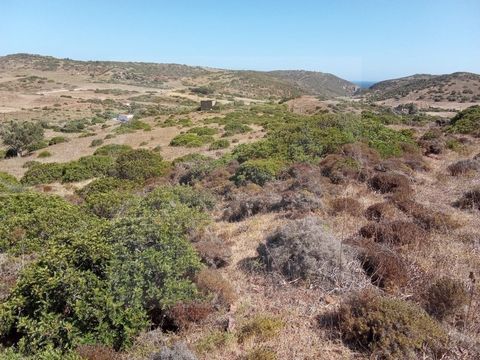 Este terreno rústico de 6.567 m² está situado na pitoresca freguesia da Figueira, em Vila do Bispo. Com formato retangular e leve inclinação, oferece um ambiente tranquilo e natural, ideal para quem busca estar em sintonia com a natureza. A eletricid...