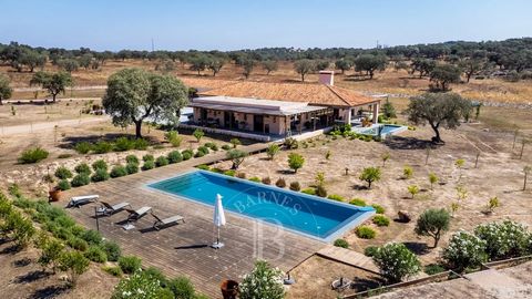 Charmante propriété dans la région de Pavia, dans la municipalité de Mora, dans l'Alentejo. Elle se trouve à environ 20 minutes d'Évora et à un peu plus d'une heure de Lisbonne. Il s'agit d'une maison de plain pied avec un excellent salon et une sall...