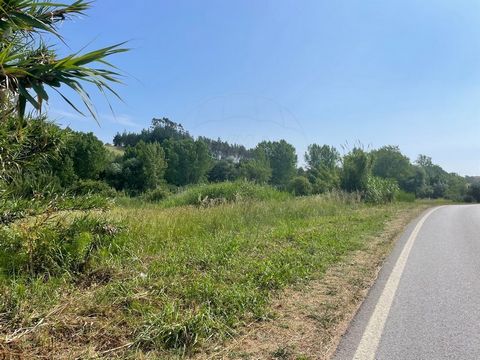 Terreno rústico plano com frente a EN8 em Valbom - Alcobaça. No terreno existe uma mina de água, proveniente do encaminhamento preparado com manilhas para a alteração do PDM o terreno podrá ser inserido em Aglomerado Rural. Excelente para estaleiro d...