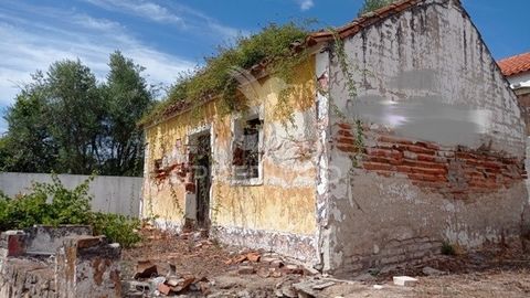 Ruína com 33 m2 de área de construção e 700 m2 de terreno. A dois minutos das margens da lagoa de Montargil. Marque já a sua visita! Predimed PORTUGAL Mediação Imobiliária Lda.Avenida Brasil 43, 12º Andar, 1700-062 LisboaLicença AMI nº 22503Pessoa Co...