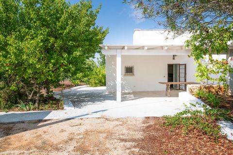 Petite little property in a peaceful spot of Ostuni. Looking for a smooth and authentic country living in Puglia, Lamia Silvana is the perfect match for you! At Lamia Silvana there is a nice stone gated driveway welcoming you that leads to a little p...