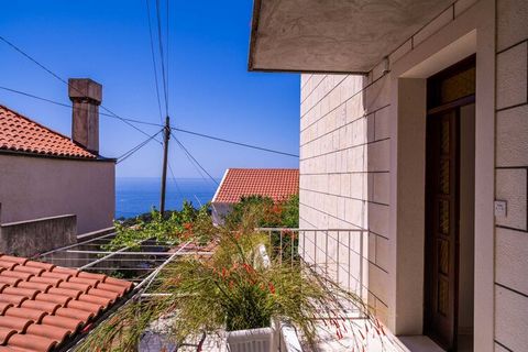 Apartments & Rooms Stella offer self-catering accommodation units in a popular area of Dubrovnik. Shared barbecue facilities are available upon request. Kindly note: Luggage storage is possible only prior to check in. Public parking is available at t...