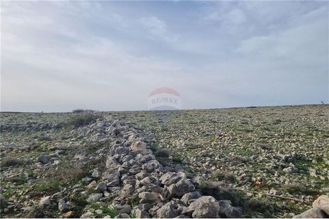 Location: Zadarska županija, Povljana, Povljana. NEW ON THE MARKET! Agricultural land for sale in Povljana on the island of Pag. The land has a total area of ​​11,532 m2, regular shape. The location of the land is on a sunny, gentle slope with a view...