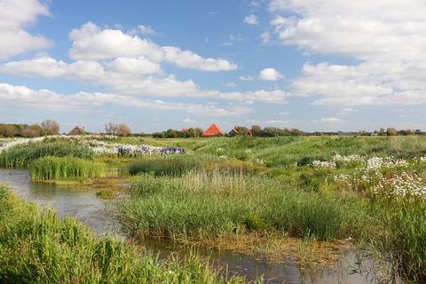 Le case vacanze nel Callassande Holiday Resort sono disponibili in tre diversi tipi, adatti a quattro o sei persone. C'è un alloggio a 4 persone al piano terra (NL-1759-43), ad esempio, con due camere da letto con bagno privato e una TV intelligente ...