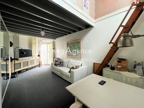 photo no. 10