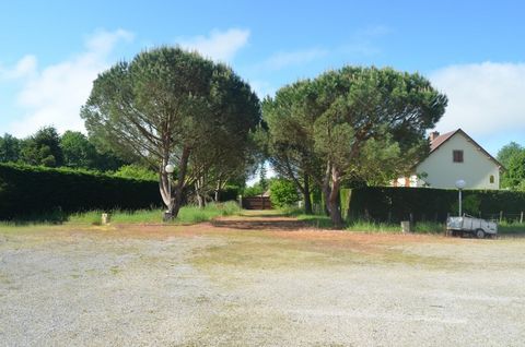 photo no. 1