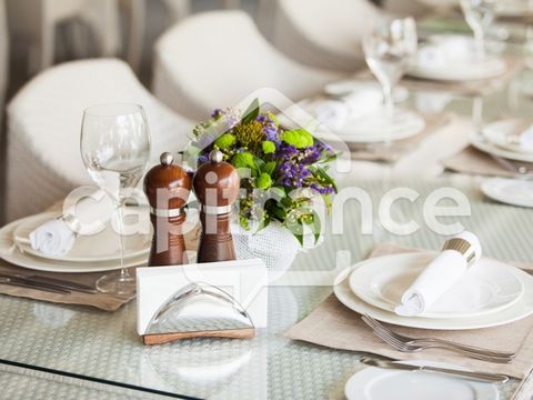 Fonds de commerce restaurant pizzéria à vendre LYON 3EME ARRONDISSEMENT (69). belle affaire 300m2 environ, fermée le WE, secteur Part dieu