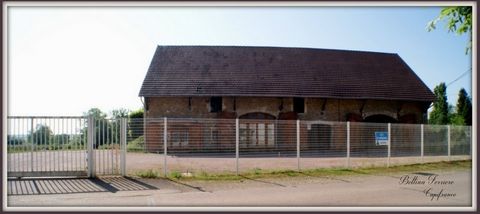photo no. 1