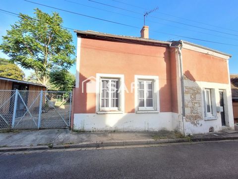 photo no. 8