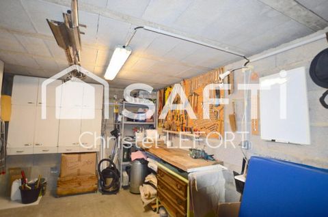photo no. 14