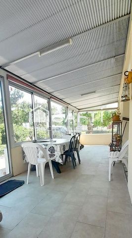 photo no. 13
