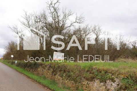 Terrain de loisir, vergers.