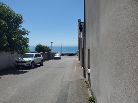 photo no. 8