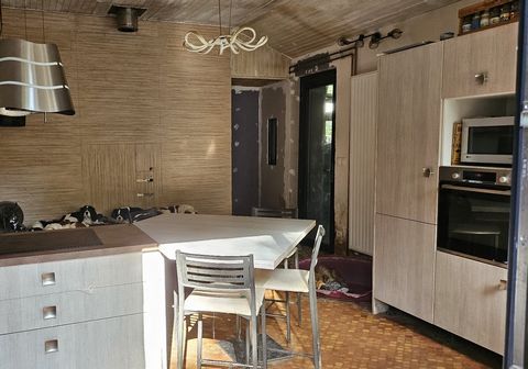 photo no. 13