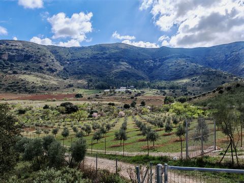 Hacienda en venta en , Ronda con 8 dormitorios, 4 baños y con orientación sur/oeste, con piscina privada, garaje privado y jardín privado. Respecto a las dimensiones, la propiedad presenta 440 m² construidos y 9.700.000 m² de parcela. Tiene las sigui...