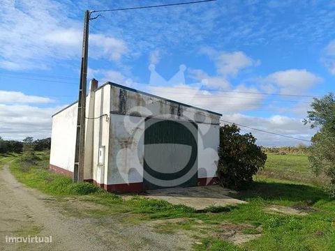 Trata-se de um terreno rústico localizado ás portas da cidade de Reguengos de Monsaraz, com 2,5 hectares, sendo que este espaço pode ter diversas utilizações, como agricultura, pecuária ou mesmo para lazer e turismo rural. A proximidade da cidade pod...