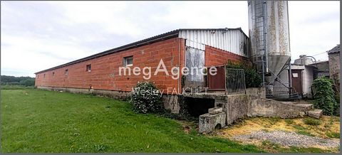 photo no. 10