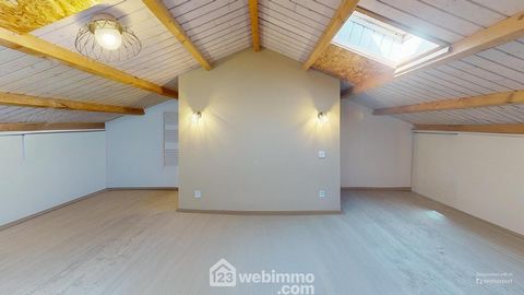 photo no. 12