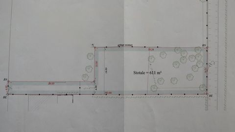 photo no. 2