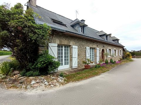photo no. 14