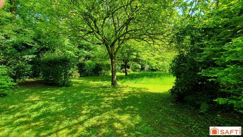 photo no. 12