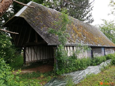 photo no. 3