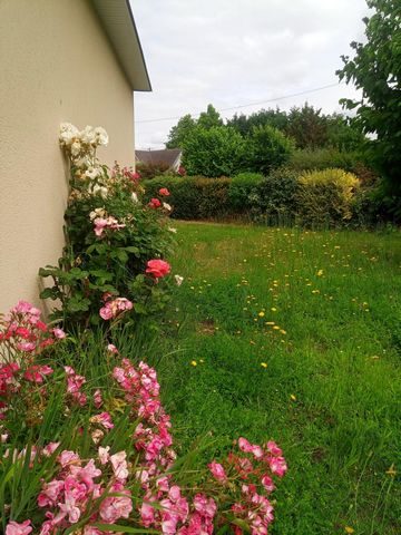 photo no. 12