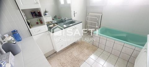 photo no. 11