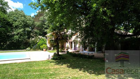 photo no. 3