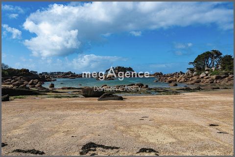 photo no. 15