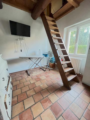 photo no. 12
