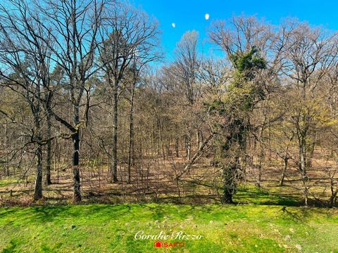 APPARTEMENT A LOUER - CREUTZWALD - PROCHE DU LAC