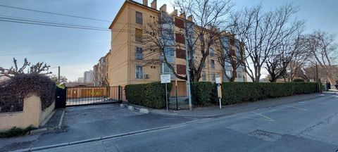 photo no. 1
