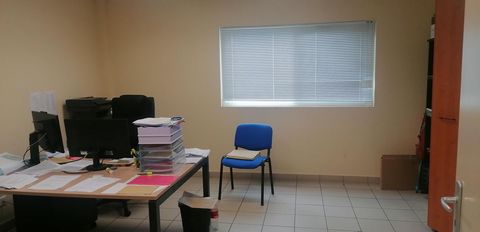 photo no. 6